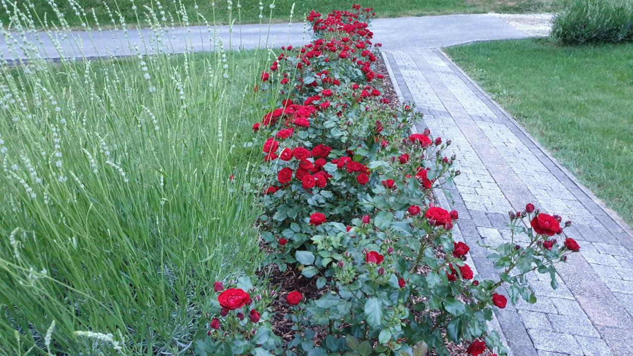 Apartament Sanja *