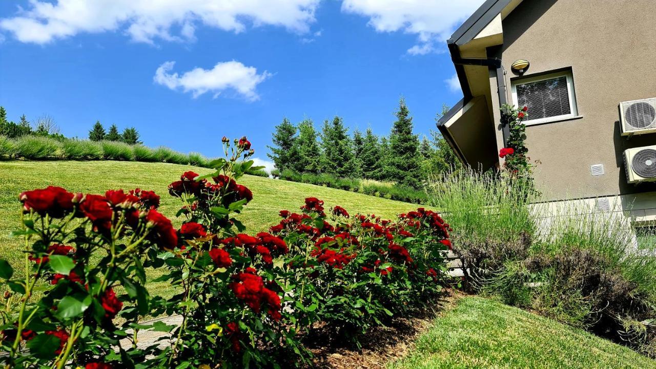 Apartament Sanja *