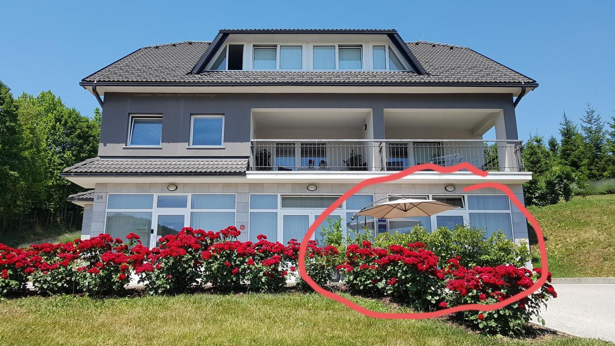 Sanja Apartament