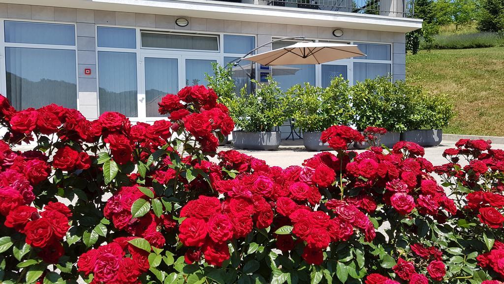Apartament Sanja *