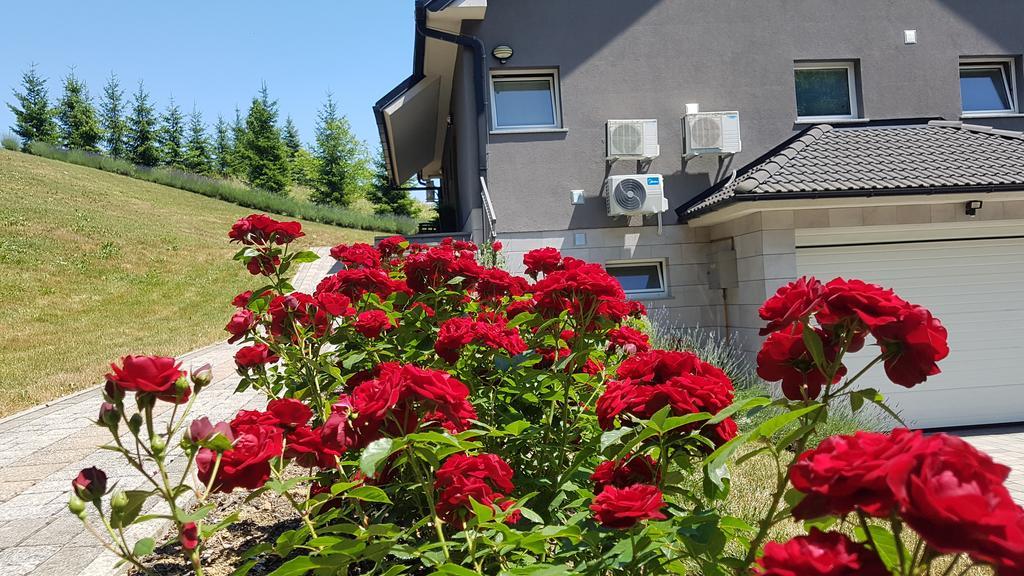 Sanja Apartament